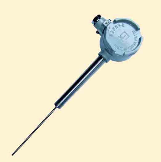 直形管接头式防爆热电偶