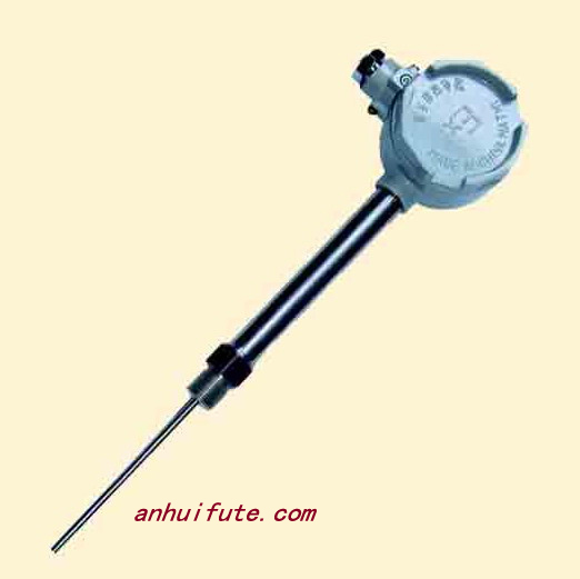 固定螺纹管接头式防爆热电阻