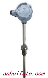 固定螺纹式防爆热电阻