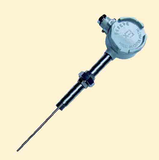 活络管接头式防爆热电阻