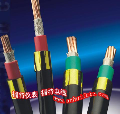 福特仪表 福特电缆