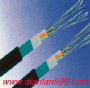 太阳能热水器专用电热带