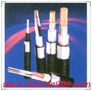 电子计算机电缆 DCS电缆 控制电缆