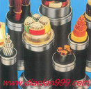 变频器专用电力电缆 变频电缆