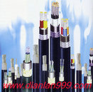 氟塑料绝缘电力电缆 高温电力电缆