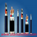 F46耐高温耐油特种电缆