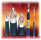 氟塑料耐高温控制电缆